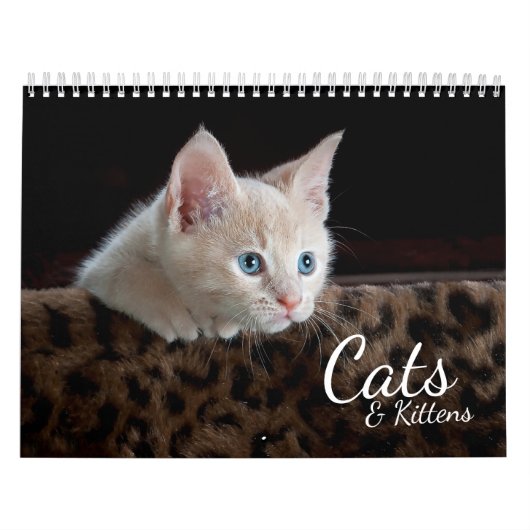 Mural Cats et chatons Calendrier photo pour animaux de c (Protection)