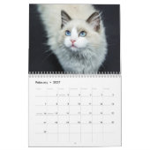 Mural Cats et chatons Calendrier photo pour animaux de c (Feb 2027)