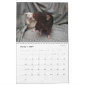 Mural C'est un calendrier mondial de Rat (Jan 2027)