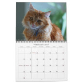 Mural Chat 2012 de calendrier (Feb 2027)