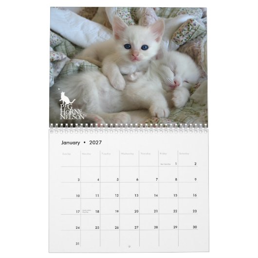 Mural Chatons vol. de Ragdoll. Un calendrier (Jan 2027)