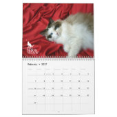 Mural Chatons vol. de Ragdoll. Un calendrier (Feb 2027)