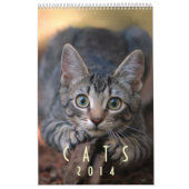 Mural Chats 2014 - Un calendrier pour des amoureux de (Protection)