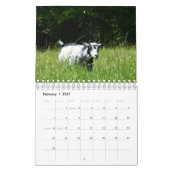 Mural Chèvres sur le calendrier de ferme de K-N-S (Feb 2027)