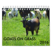 Mural Chèvres sur le calendrier de ferme de K-N-S (Protection)