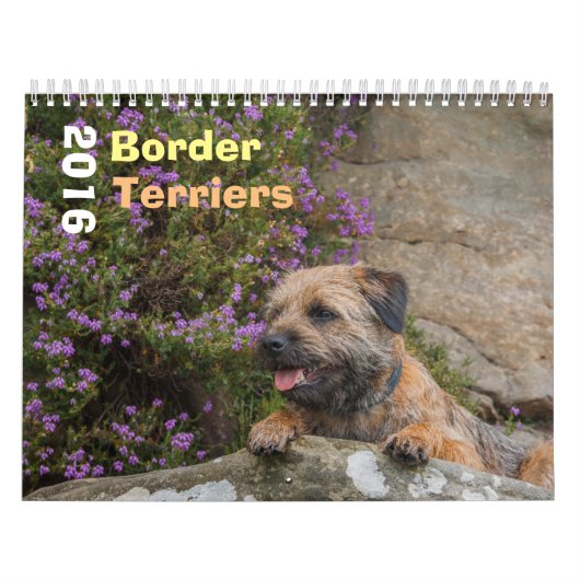 Mural Chien de Terrier de frontière, milieu, calendrier (Protection)