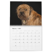 Mural Chien de Terrier de frontière, milieu, calendrier (Feb 2027)