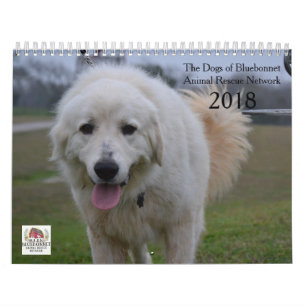 Mural Chiens de calendrier du Bluebonnet 2018