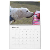 Mural Chiens de calendrier du Bluebonnet 2018 (Mar 2027)