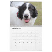 Mural Chiens de calendrier du Bluebonnet 2018 (Feb 2027)