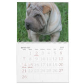 Mural Chinois Shar Pei calendrier de 15 mois (Feb 2027)