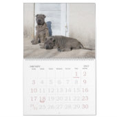 Mural Chinois Shar Pei calendrier de 15 mois (Jan 2027)