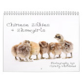 Mural Chinois Silkie et calendrier de fille de scène (Protection)