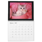 Mural Chiots mignons et chatons Calendrier 2018 (Feb 2027)