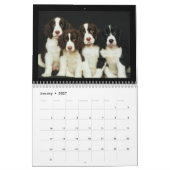 Mural Chiots mignons et chatons Calendrier 2018 (Jan 2027)