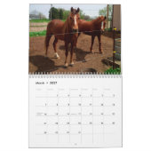 Mural "Clifford de calendrier de l'île" 2018 de Drummond (Mar 2027)