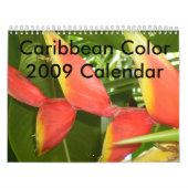 Mural Couleur des Caraïbes… le calendrier 2009 de fleurs (Protection)