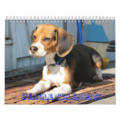Mural couverture, calendrier de beagle (Protection)