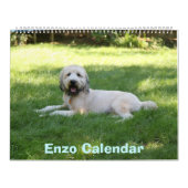 Mural Couverture, calendrier d'Enzo (Protection)