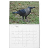 Mural Crows, Magpies et Ravens Calendrier 2016 (Mar 2026)