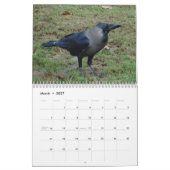 Mural Crows, Magpies et Ravens Calendrier 2016 (Mar 2027)