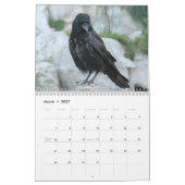 Mural Crows, Magpies et Ravens Calendrier 2017 (Mar 2027)