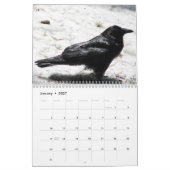 Mural Crows, Magpies et Ravens Calendrier 2017 (Jan 2027)