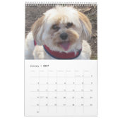 Mural Cuivrez le calendrier de Havapookie (Jan 2027)
