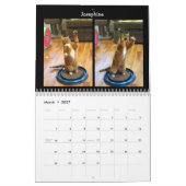Mural Danse de chat - calendrier 2018 (Mar 2027)