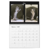 Mural Danse de chat - calendrier 2018 (Feb 2027)