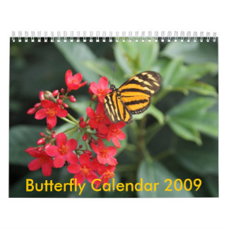 Mural DSC00452, calendrier 2009 de papillon