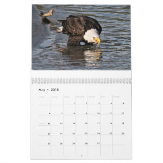 Mural Eagles par le calendrier de Tamara