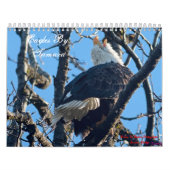 Mural Eagles par le calendrier de Tamara (Protection)