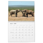 Mural Éléphants africains dans le calendrier d'Addo (Mar 2027)