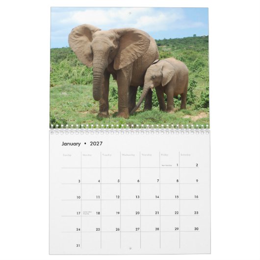 Mural Éléphants africains dans le calendrier d'Addo (Jan 2027)