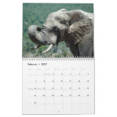 Mural Éléphants africains dans le calendrier d'Addo (Feb 2027)