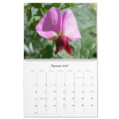 Mural Fleurs de l'Israël : Calendrier 2017 (Jan 2027)