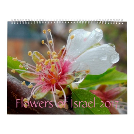Mural Fleurs de l'Israël : Calendrier 2017 (Protection)