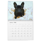 Mural French Bulldog Calendrier 2024 Ajouter Vos Photos (Jan 2026)