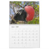 Mural Galapagos ! Calendrier (Mar 2027)