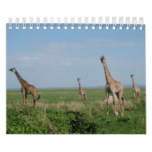 Mural Girafe calendrier