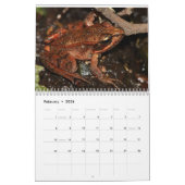 Mural Grenouilles du calendrier du monde (Feb 2026)