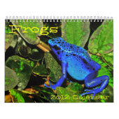 Mural Grenouilles du calendrier du monde (Protection)