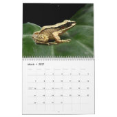 Mural Grenouilles du calendrier du monde (Mar 2027)