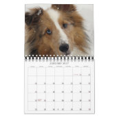 Mural Indiana Dynamite ! Calendrier des chiens d'action (Jan 2027)