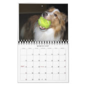 Mural Indiana Dynamite ! Calendrier des chiens d'action (Mar 2027)