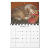 Mural Indiana Dynamite ! Calendrier des chiens d'action (Feb 2027)