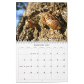 Mural INSECTES! Calendrier 2012 (Feb 2027)