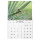Mural INSECTES! Calendrier 2012 (Jan 2027)