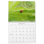 Mural INSECTES! Calendrier 2012 (Mar 2027)